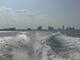 IMG_20230527_120727_540.jpg